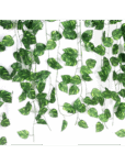 Money Plant