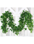 Money Plant