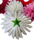 Daliya