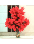 Leechi Leafs