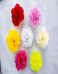 img-20210512-094402-…_imresizer